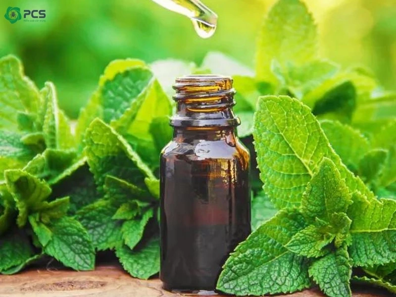 tinh dầu đuổi gián 